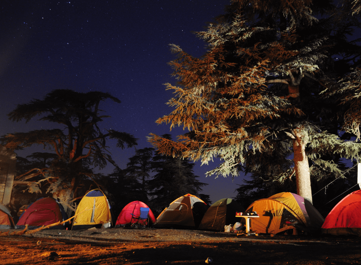 Bivouac en forêt avec ciel étoilé.