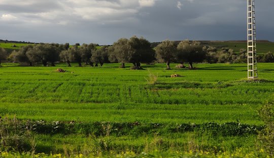 Commune d'Aïn Berda
