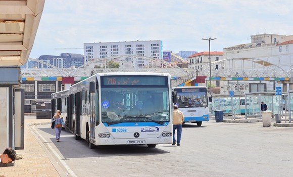 Bus circulant dans la ville d'Annaba