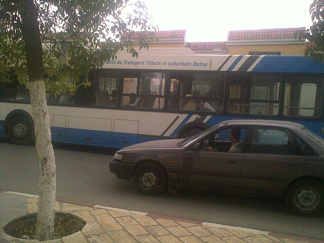 Bus Public circulant à Batna
