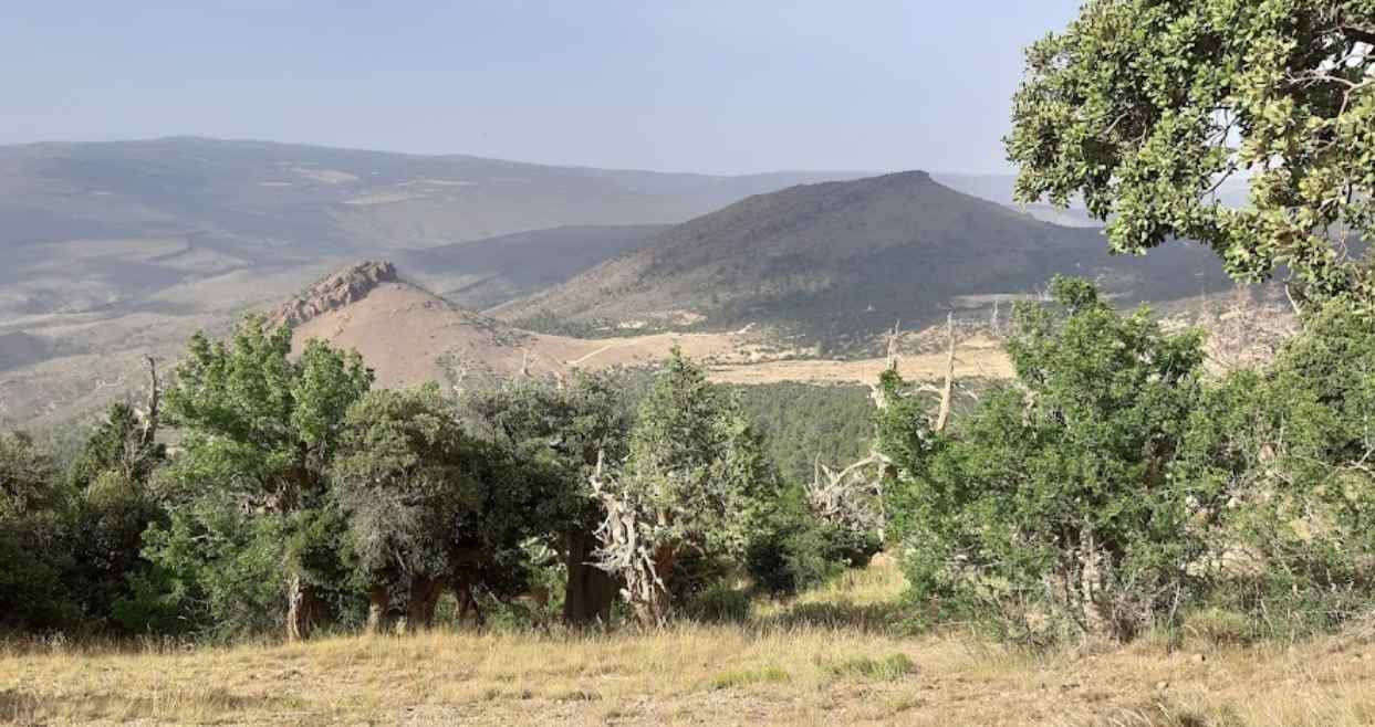 Commune de Ben Foudhala El Hakania