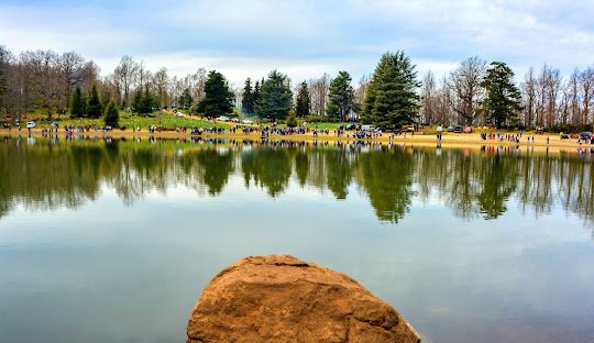 Le Lac Noir d'Akfadou