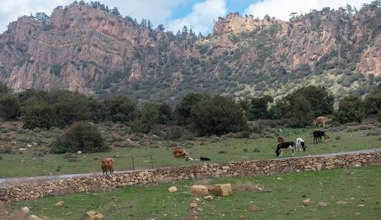 Le Parc National de Belezma