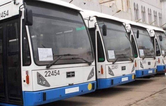Bus circulants dans la ville de Skikda