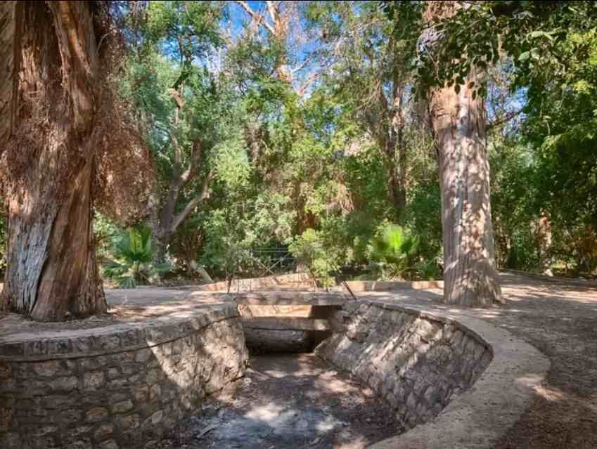 Le Jardin 5 Juillet 1962 (Janan Baylek )