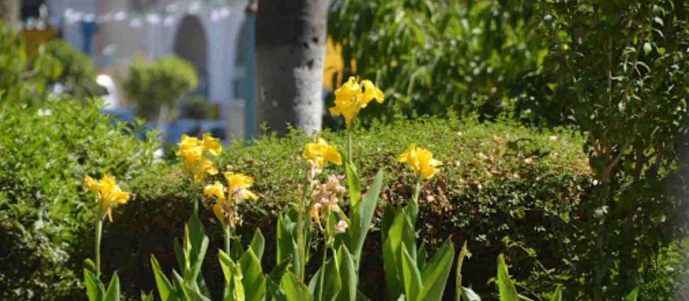 Le Jardin de Bab Constantine