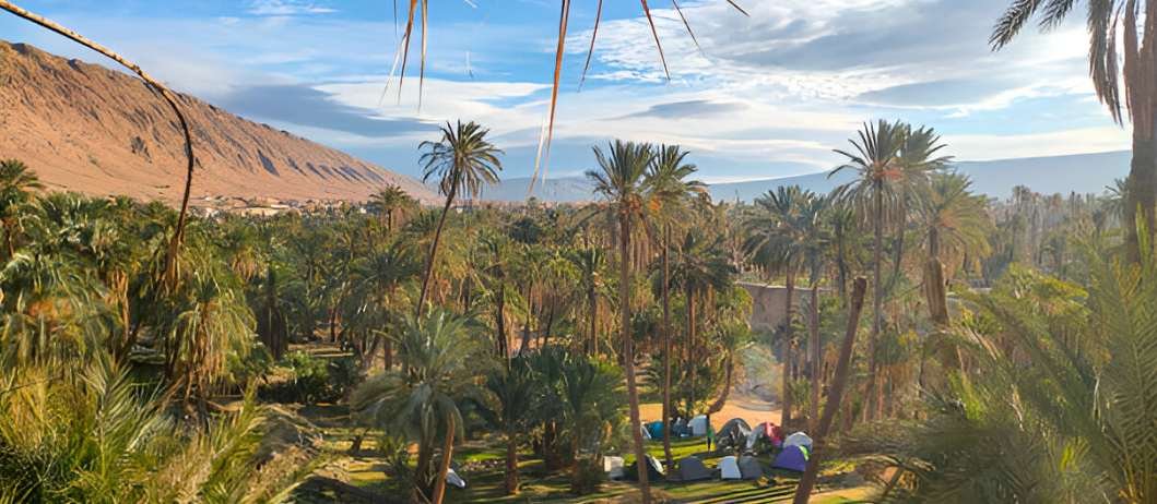 Bivouac dans la Palmeraie d'El Kantara