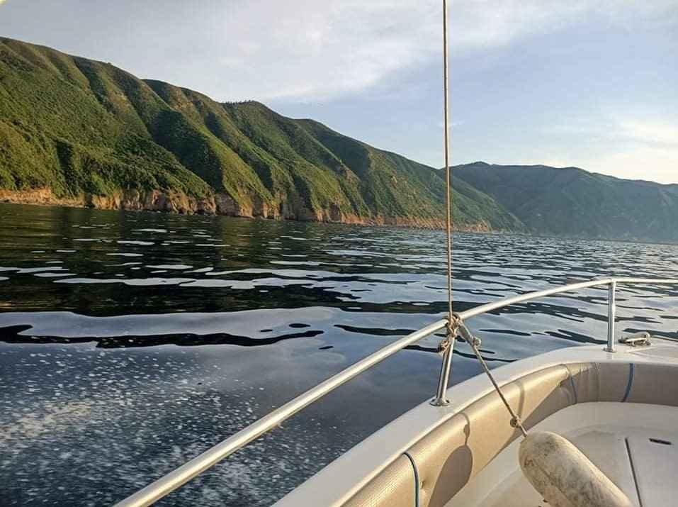 Balade en Mer à Bateau