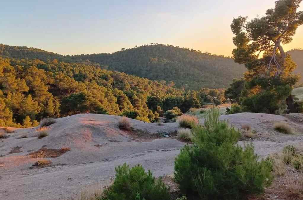 La Vallée de Bou-Thaleb