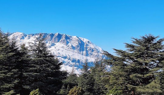 Le Mont Babor (Djebel Babor)