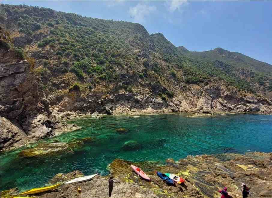 Sortie Kayak Organisée