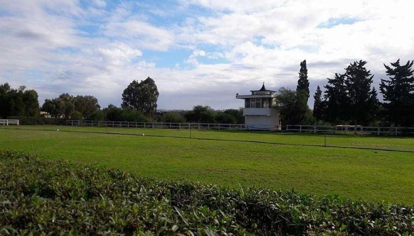 Le Centre Equestre de Sayada
