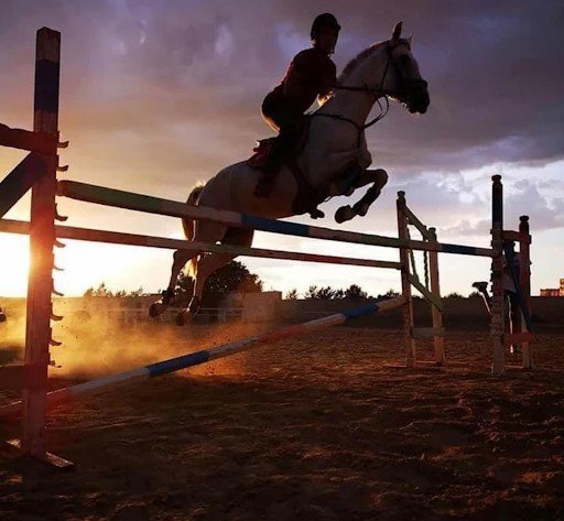 Club Équestre La Marguerite