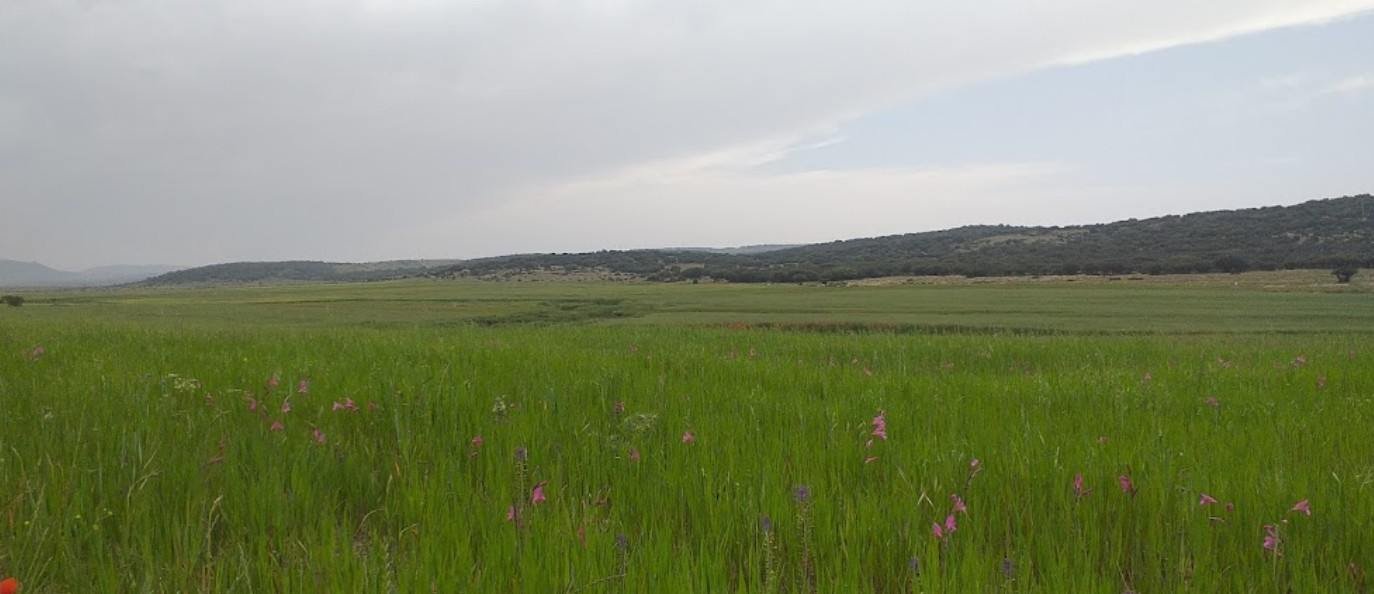 Commune de Terny Beni Hediel