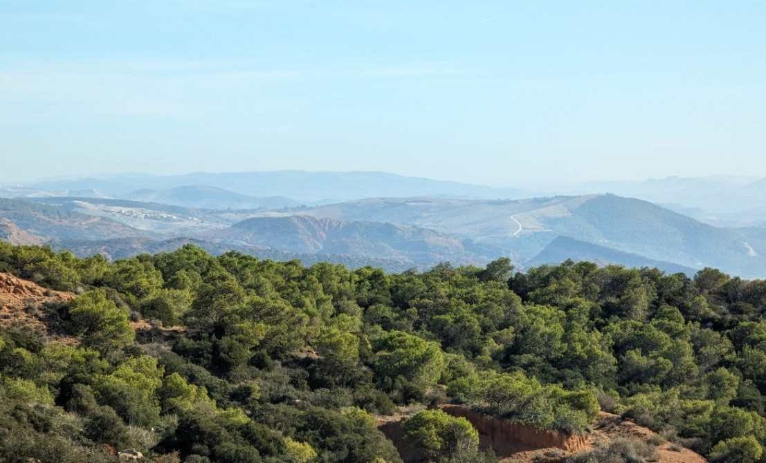 La Fôret Djelailia Oued Chlef