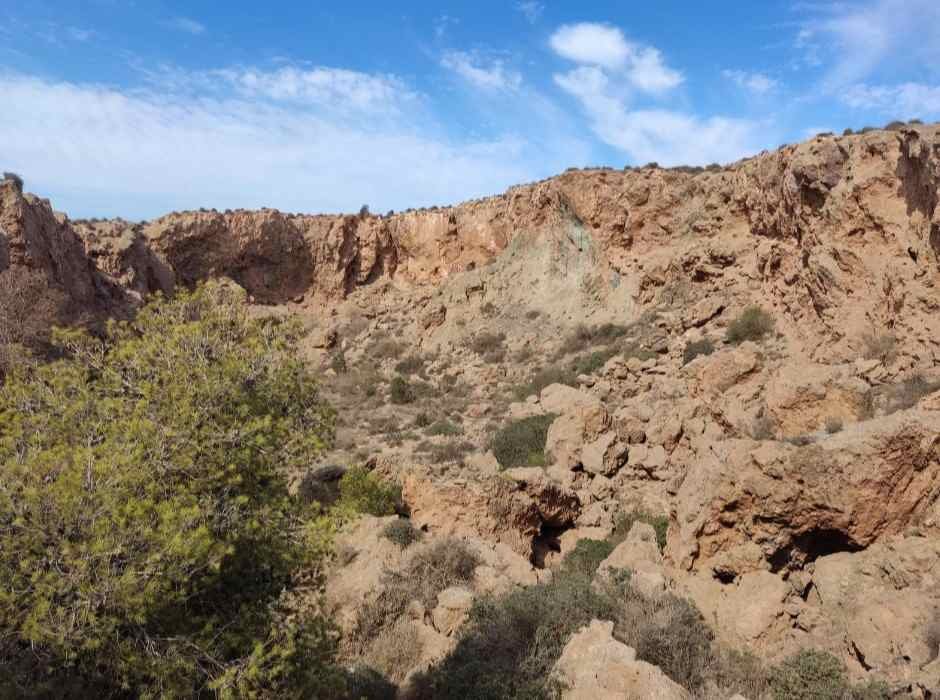 La Forêt d'Aïn Nouissy