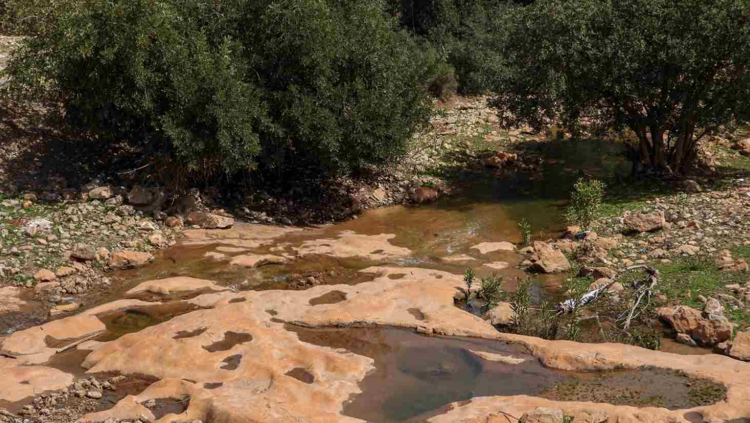 Le Cours d'eau de Chouly dans la réserve de biosphère