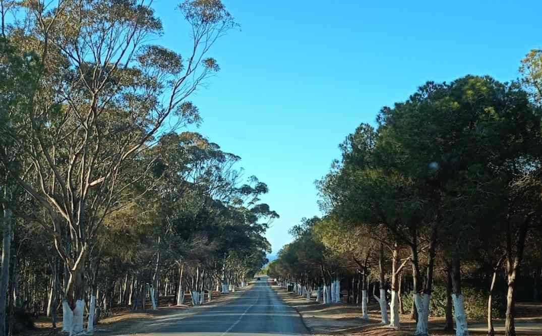 Le Parc Forestier de Sadawa Sidi Lakhdar