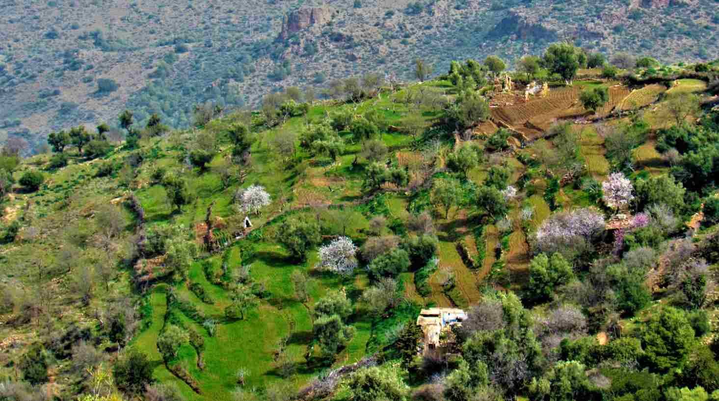 Les Cultures du Parc