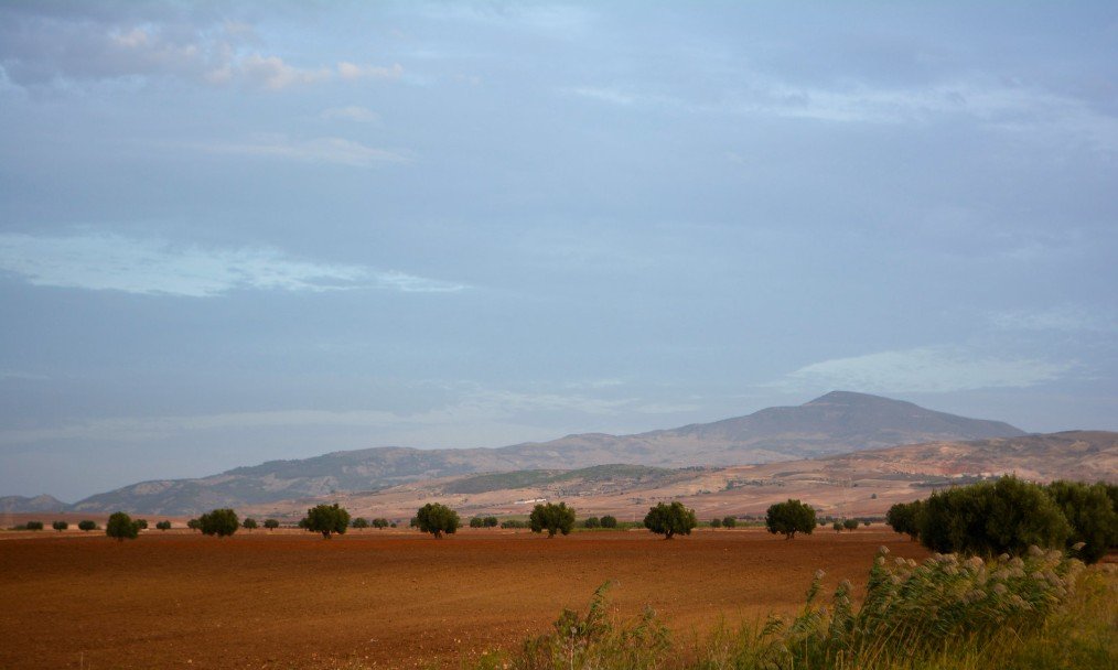 Les Monts du Tessala (Djebel Tessala)