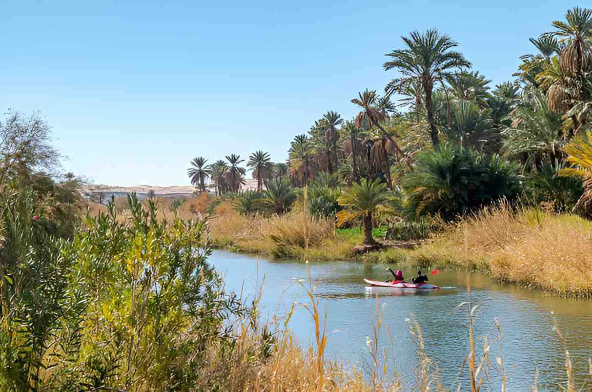 Canoé-Kayak dans l'oasis