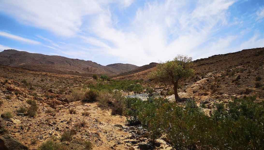 Le Parc National Djebel Aissa