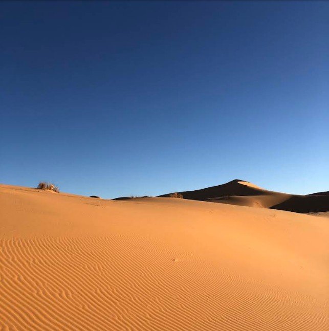 Les Dunes de Sable Dorées de Taghit