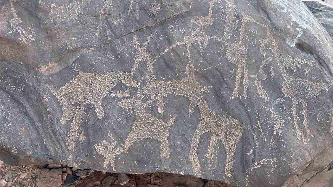 Les Gravures Rupestres de Marhouma