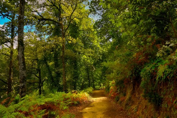 Le Sentier de Seraïdi