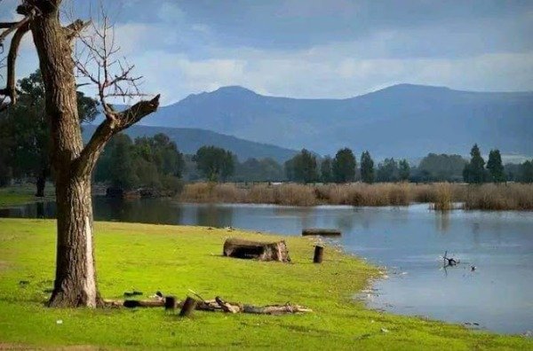 Le Parc National d'El Kala