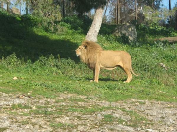Le Parc Zoologique de Ben Aknoun