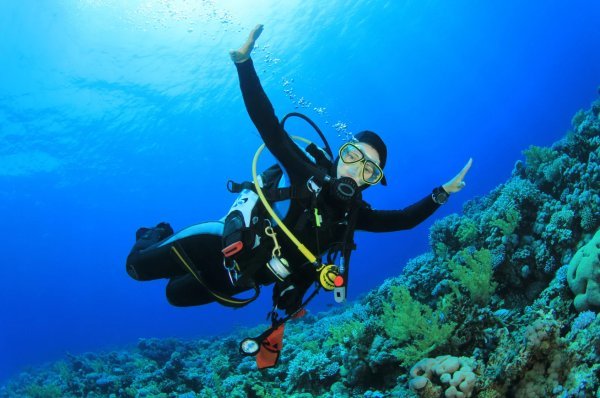 Plongée sous-marine