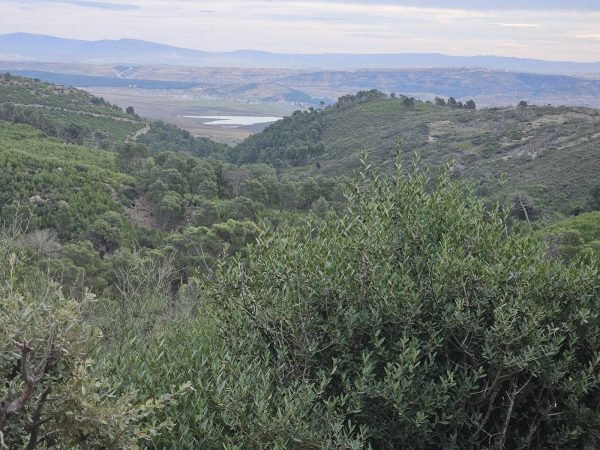 La Commune d'Aïn Smara