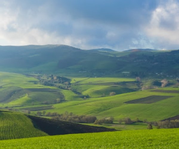 Commune de Zighoud Youcef