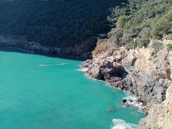 La Plage des Aquariums