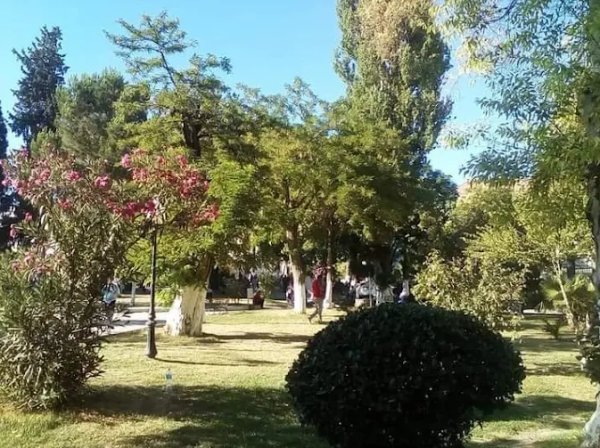 Le Parc Bin Nasser Bashir (Ex Square Vallée)