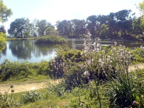 La Réserve Naturelle de Djebel El Ouahch
