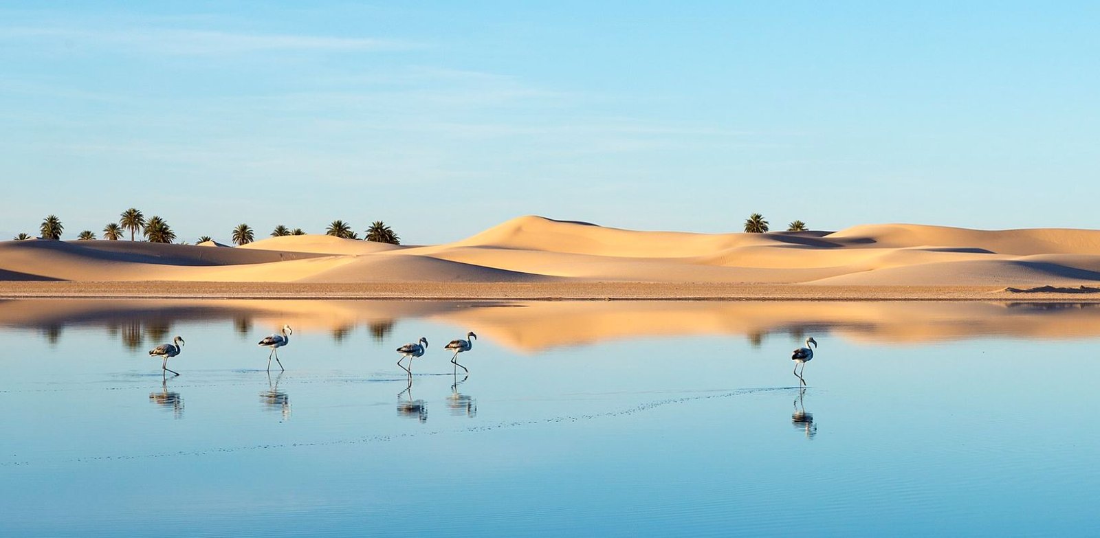 Chott Oum El Raneb dans la région de Ouargla