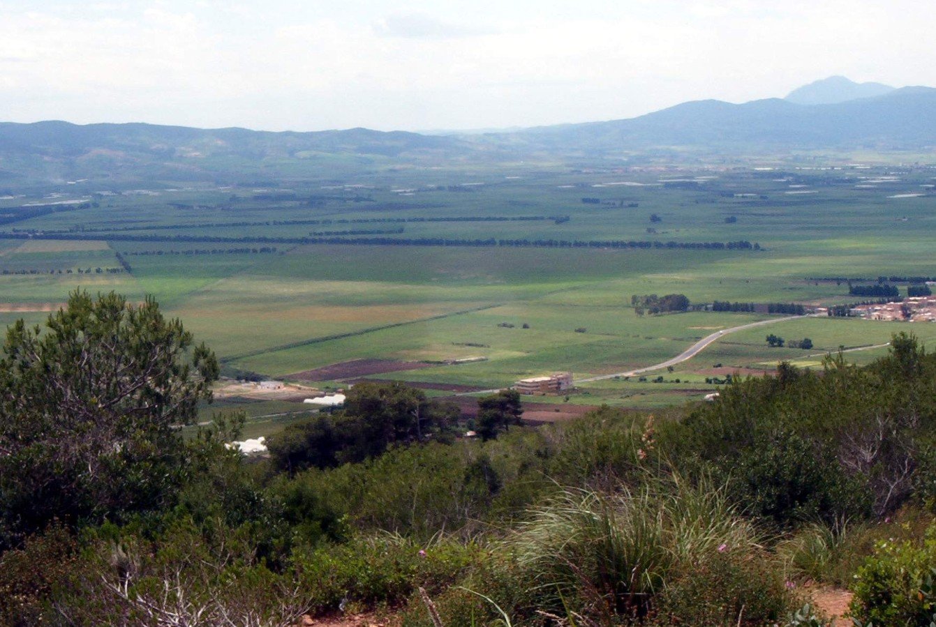 Plaine fertile d'Algérie