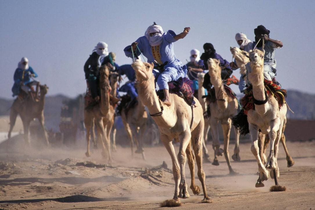 Course de chameaux près de Tamanrasset
