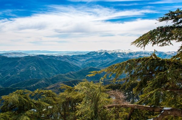 Vue des hauteurs du parc national de Chrea dans la Wilaya de Blida
