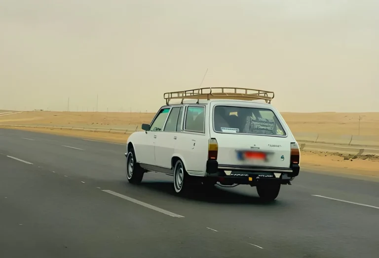 Illustration d'une Peugeot 504, exemple typique de voiture increvable d'occasion en Algérie, roulant au soleil couchant.